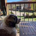 Chozos De La Brana Alpesi faház