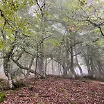 Chozos De La Brana Alpesi faház Brañosera