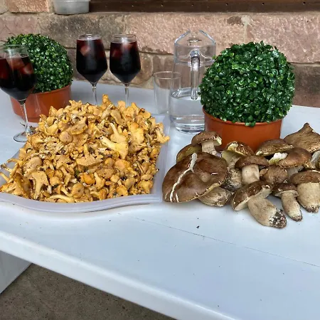 Alpehytte Chozos De La Brana *