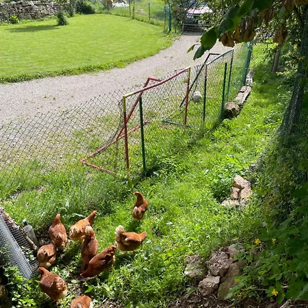 Chozos De La Brana Chalet Branosera