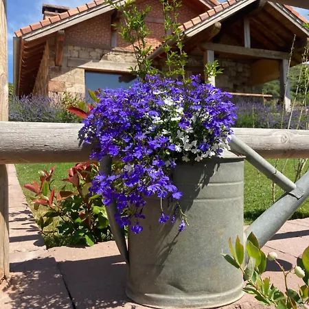 Chalet Chozos De La Brana *