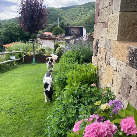 Chalet Chozos De La Brana *