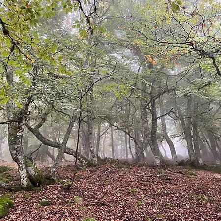 Chozos De La Brana Alpehytte Branosera