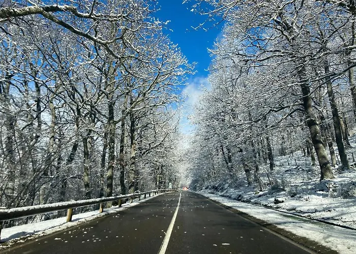 Chozos De La Brana 샬레 Branosera