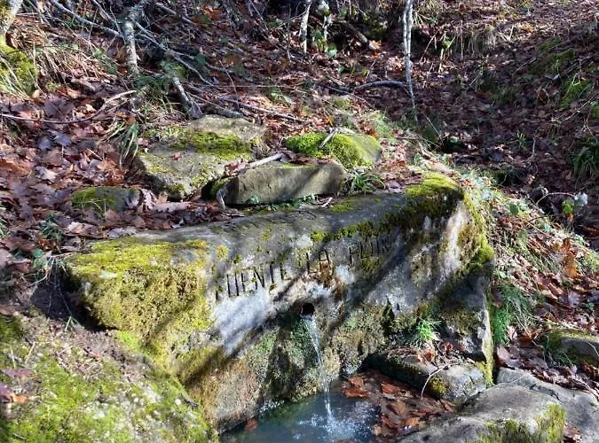 Chalet Chozos De La Brana *