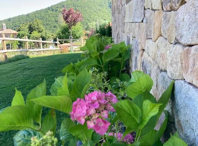 Chozos De La Braña Branosera