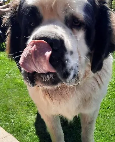 Chozos De La Braña Chalet Branosera