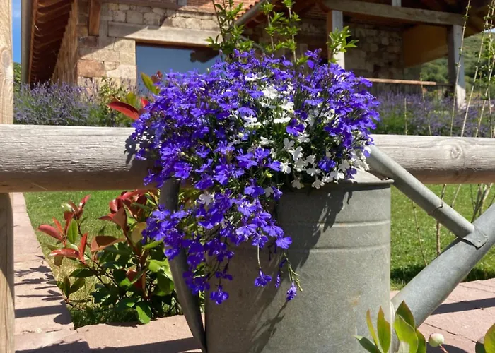 Chalet Chozos De La Braña *