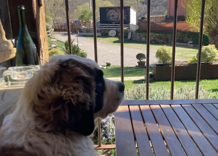 Chozos De La Brana 샬레