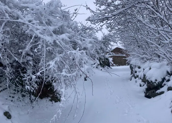 Chozos De La Brana 샬레 *