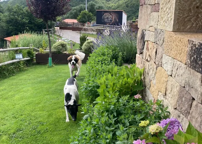 샬레 Chozos De La Brana *