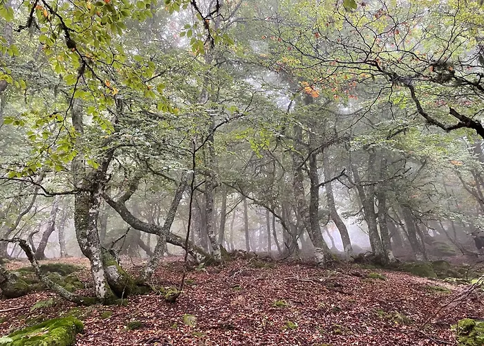 Chozos De La Braña Chalet Branosera